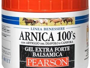 18550656